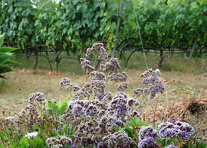 El Lagar * Icod de los Vinos