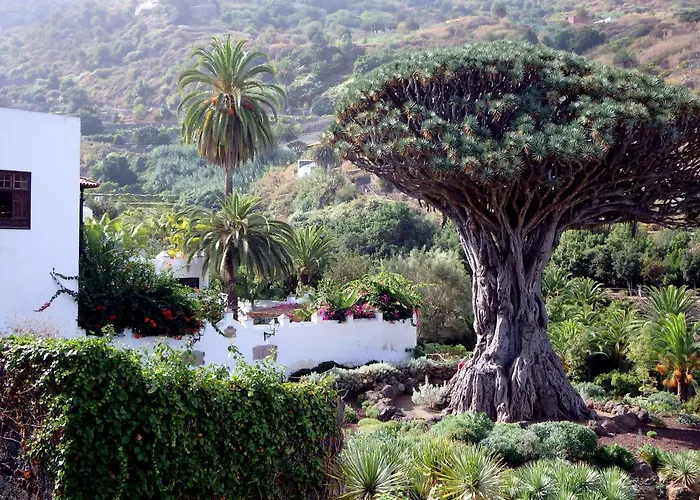 El Lagar Domek alpejski Icod De Los Vinos