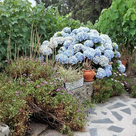 El Lagar Alpehytte *