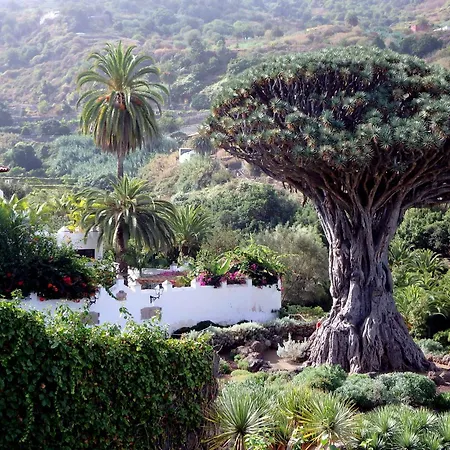 El Lagar Alpehytte Icod De Los Vinos